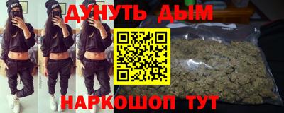 трава Новодвинск