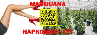 трава Новодвинск