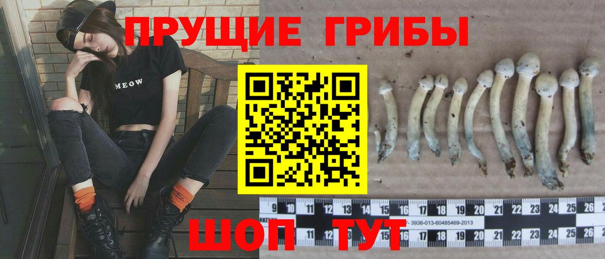 Галлюциногенные грибы GOLDEN TEACHER  Псилоцибиновые грибы прущие грибы  Удомля  Вход с VPN 